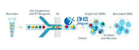 中國人自己的微流控單細(xì)胞測(cè)序儀來了！_微流控Drop-seq,微流控技術(shù)