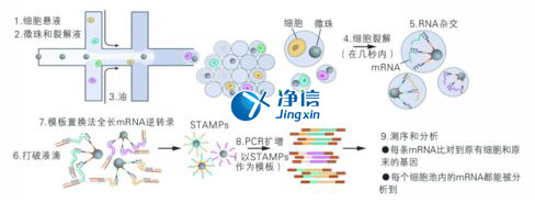中國人自己的微流控單細(xì)胞測(cè)序儀來了！_微流控Drop-seq